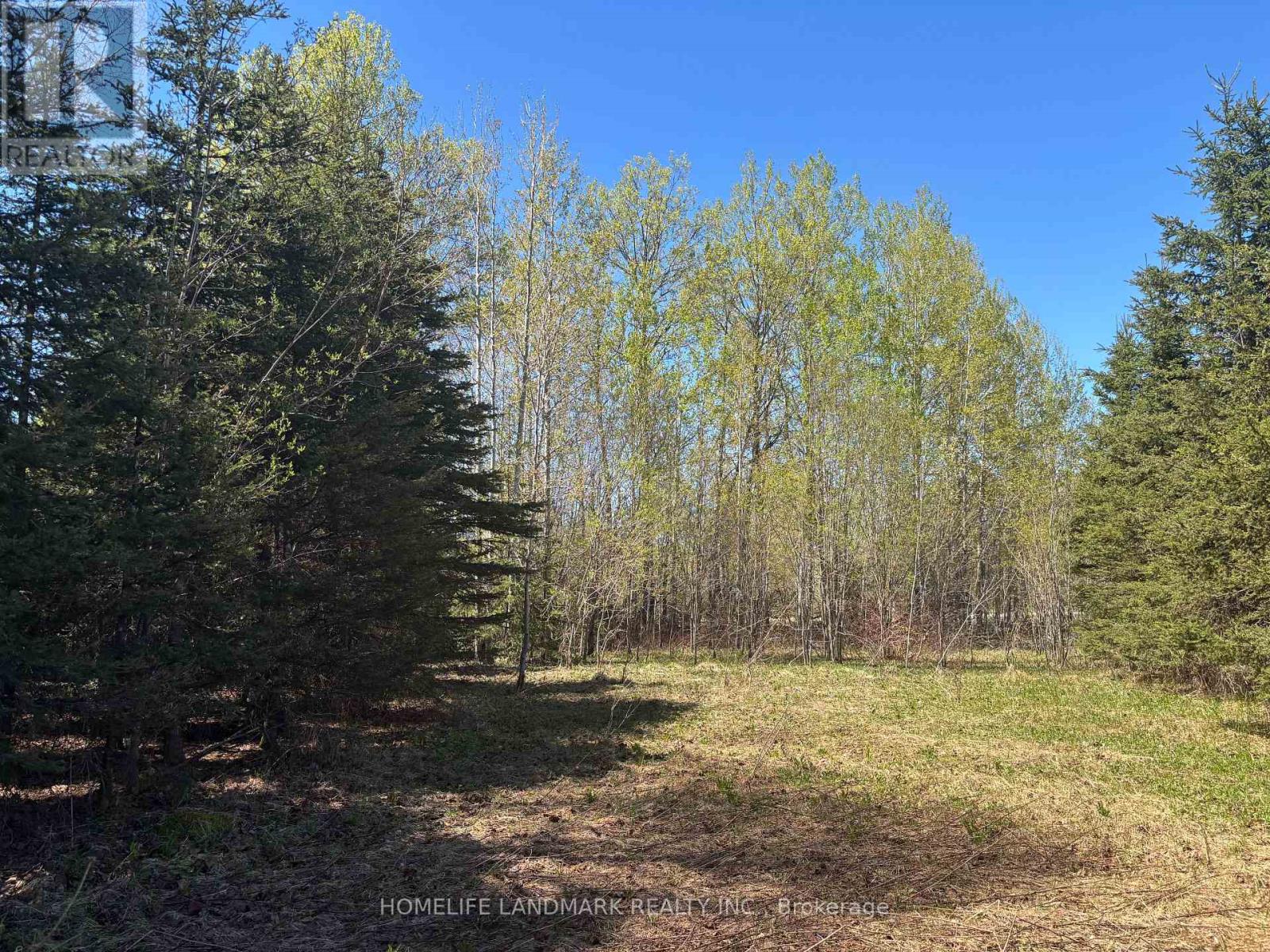 9 Ski Hill Road Property Photo 15