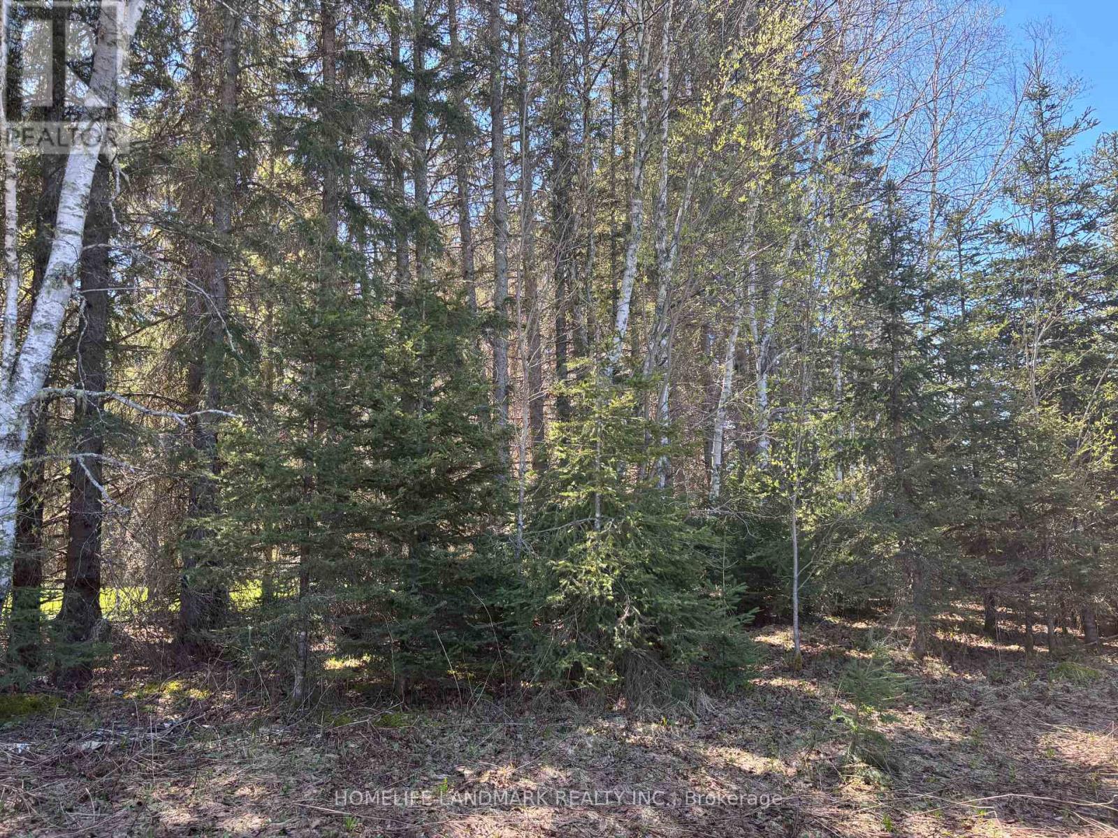9 Ski Hill Road Property Photo 17