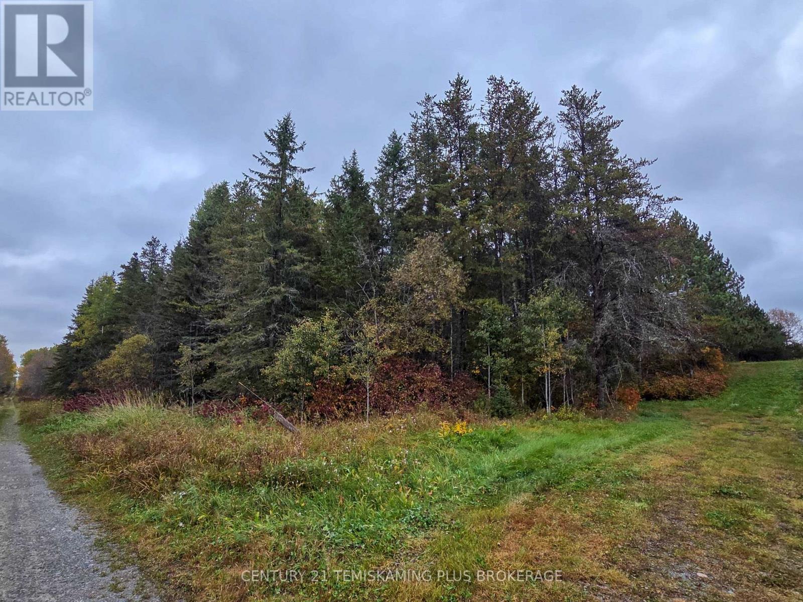 Shalf Lt 6 Con 2 Day Mar Road Property Photo 4
