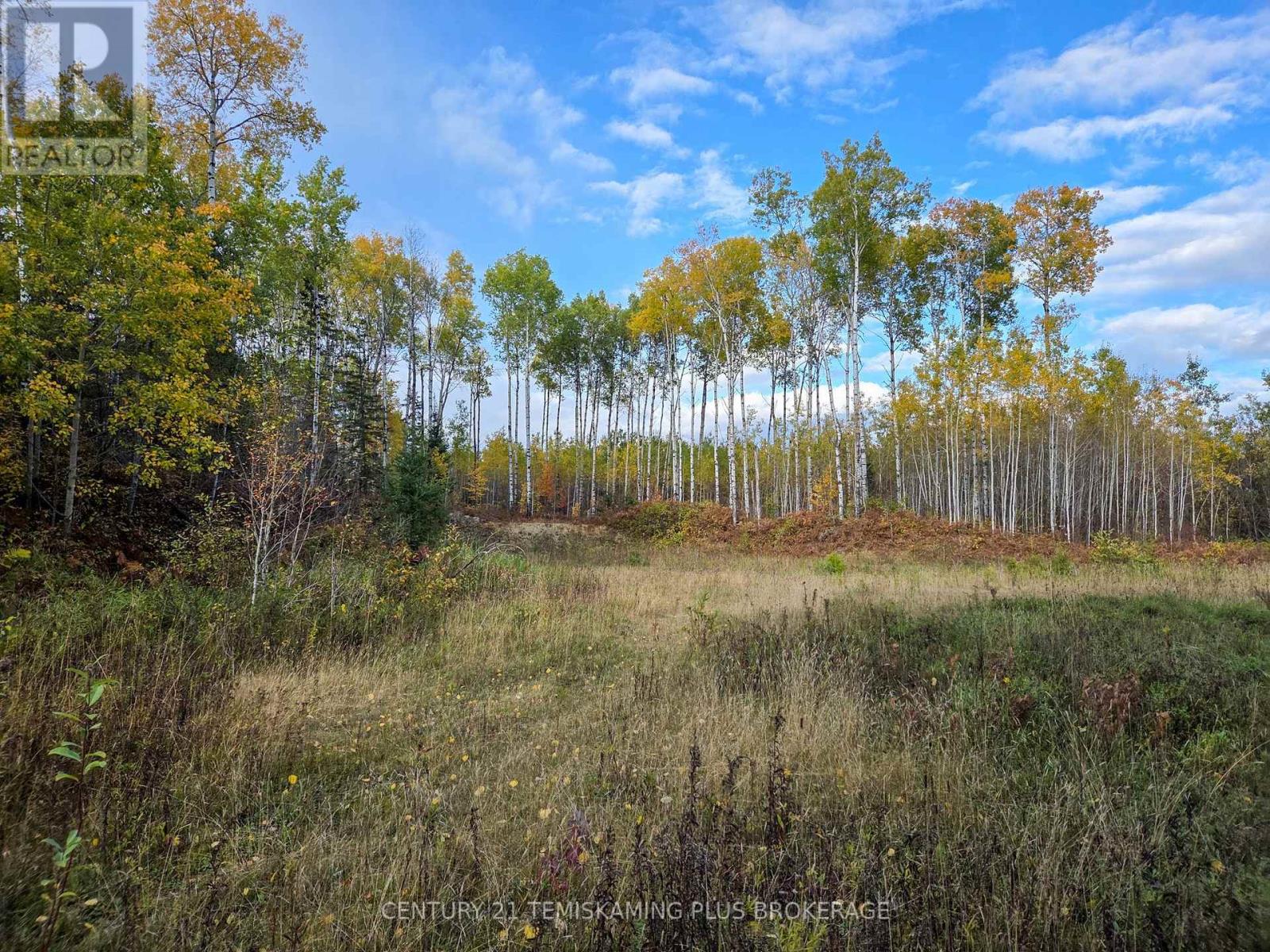 Shalf Lt 6 Con 2 Day Mar Road Property Photo 27