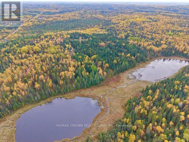 Lt 7 Hanlan Township Property Photo 10