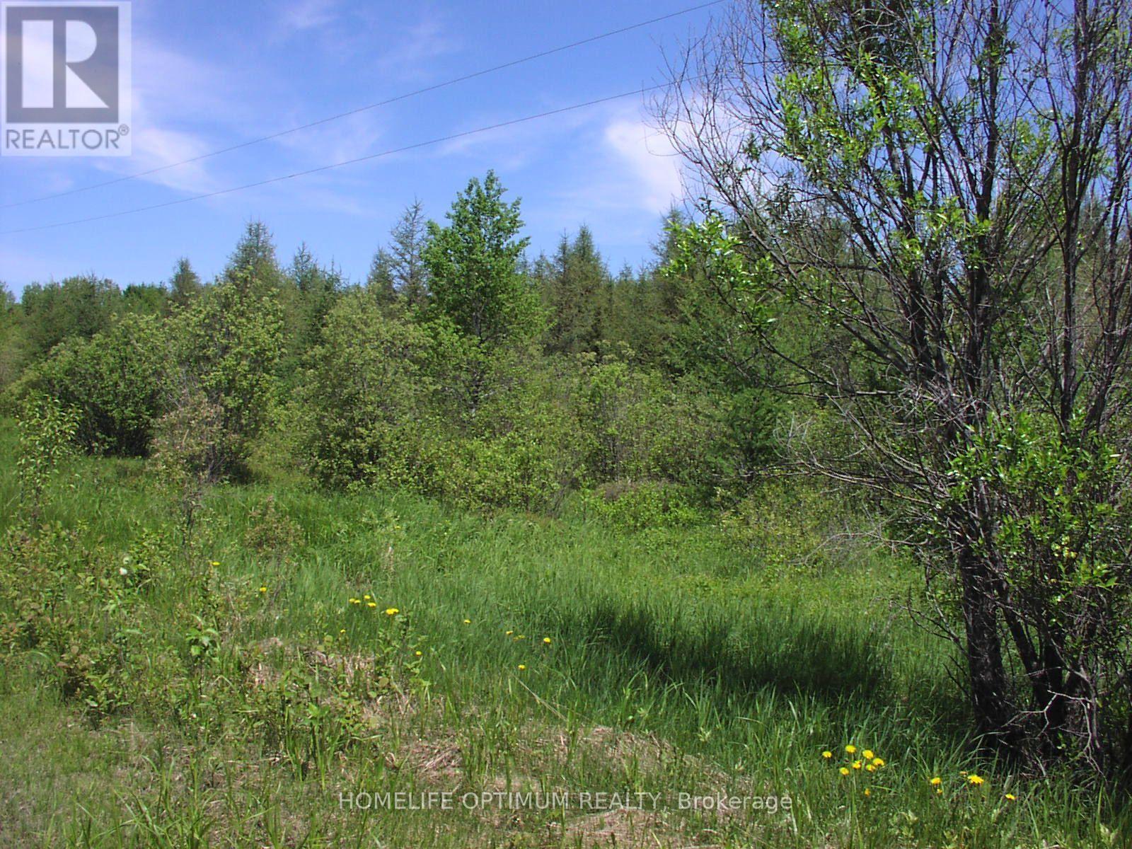 Parcel 4217 Williamson Township Property Photo 2