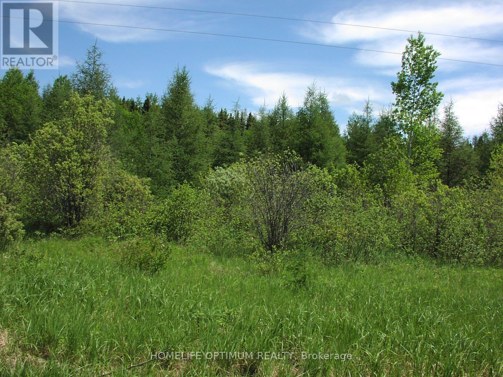 Parcel 4217 Williamson Township Property Photo 3