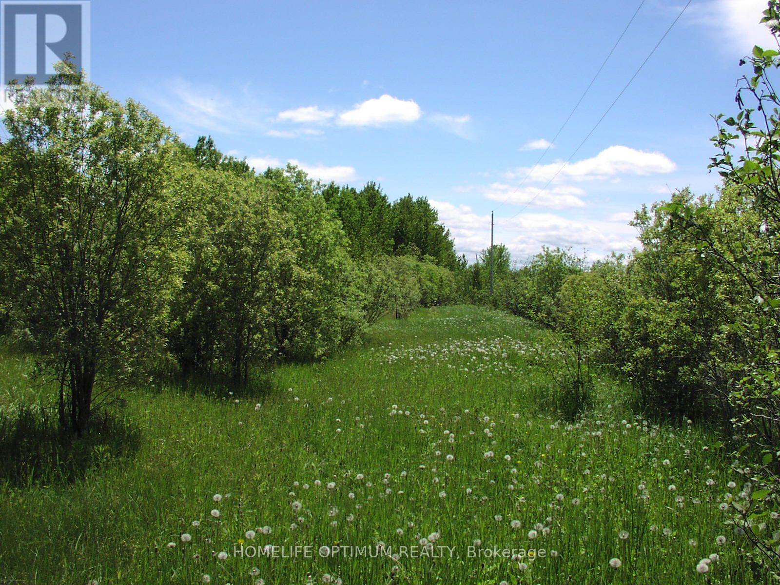 Parcel 4217 Williamson Township Property Photo 6