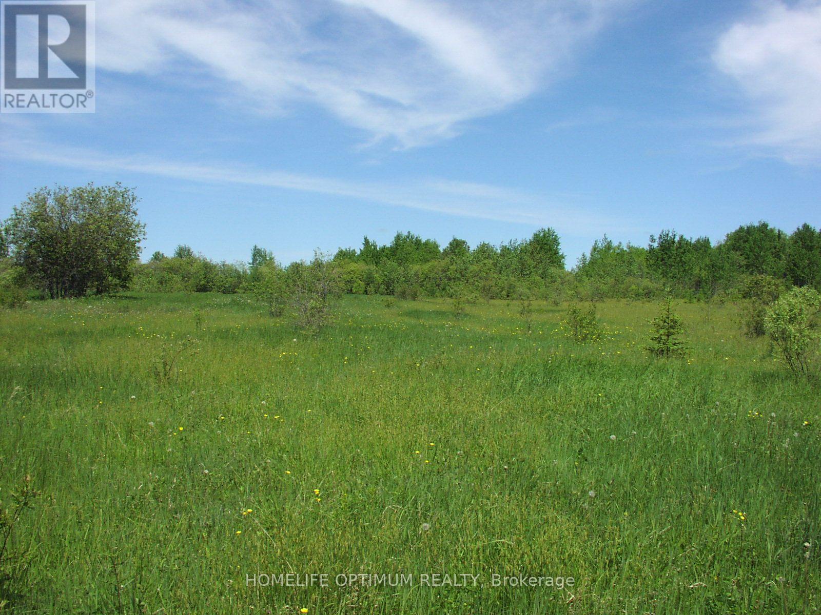Parcel 4217 Williamson Township Property Photo 8