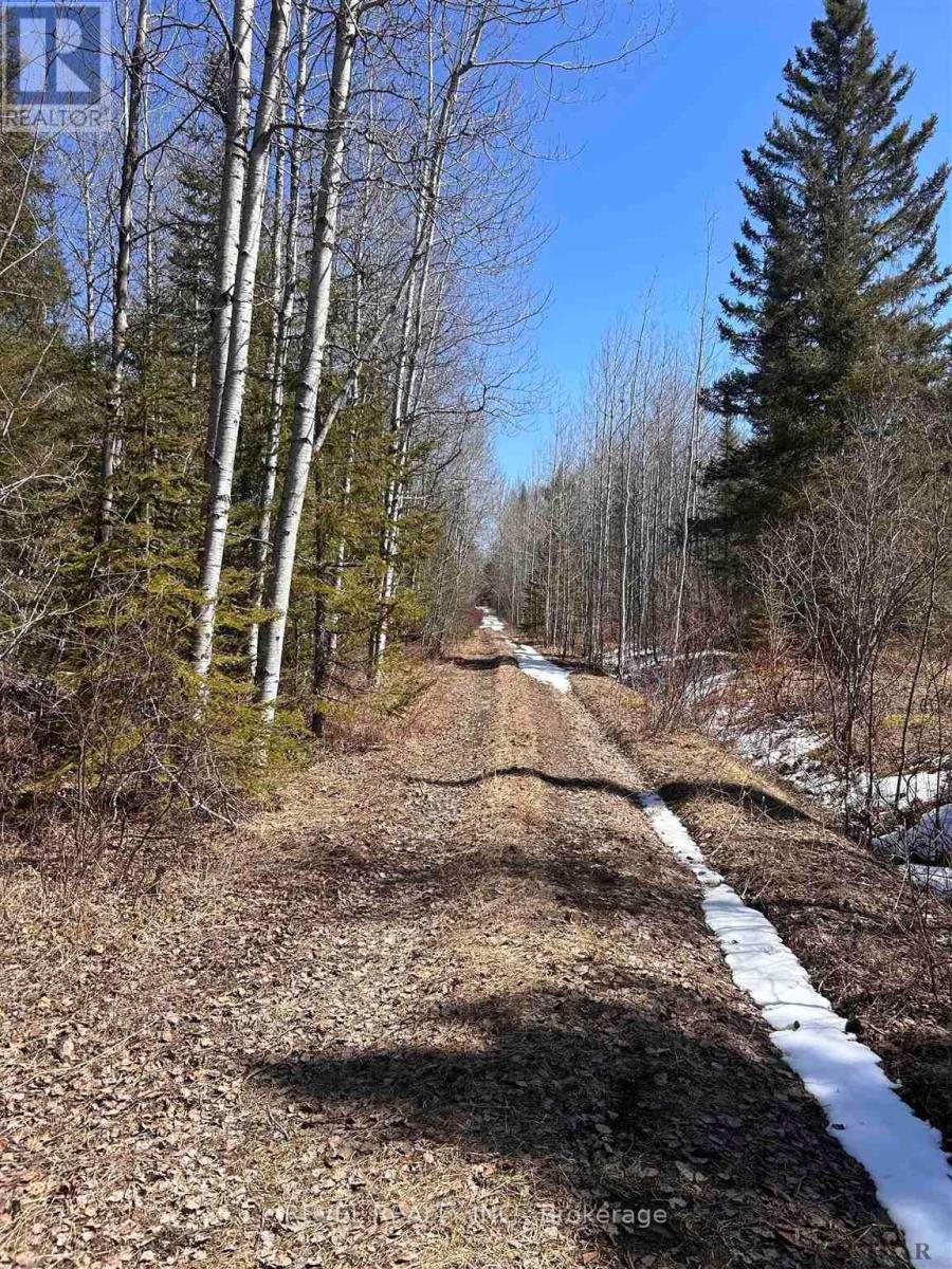 S 1/2 Lt 4 Con 2 Lamarche Twp Property Photo 3