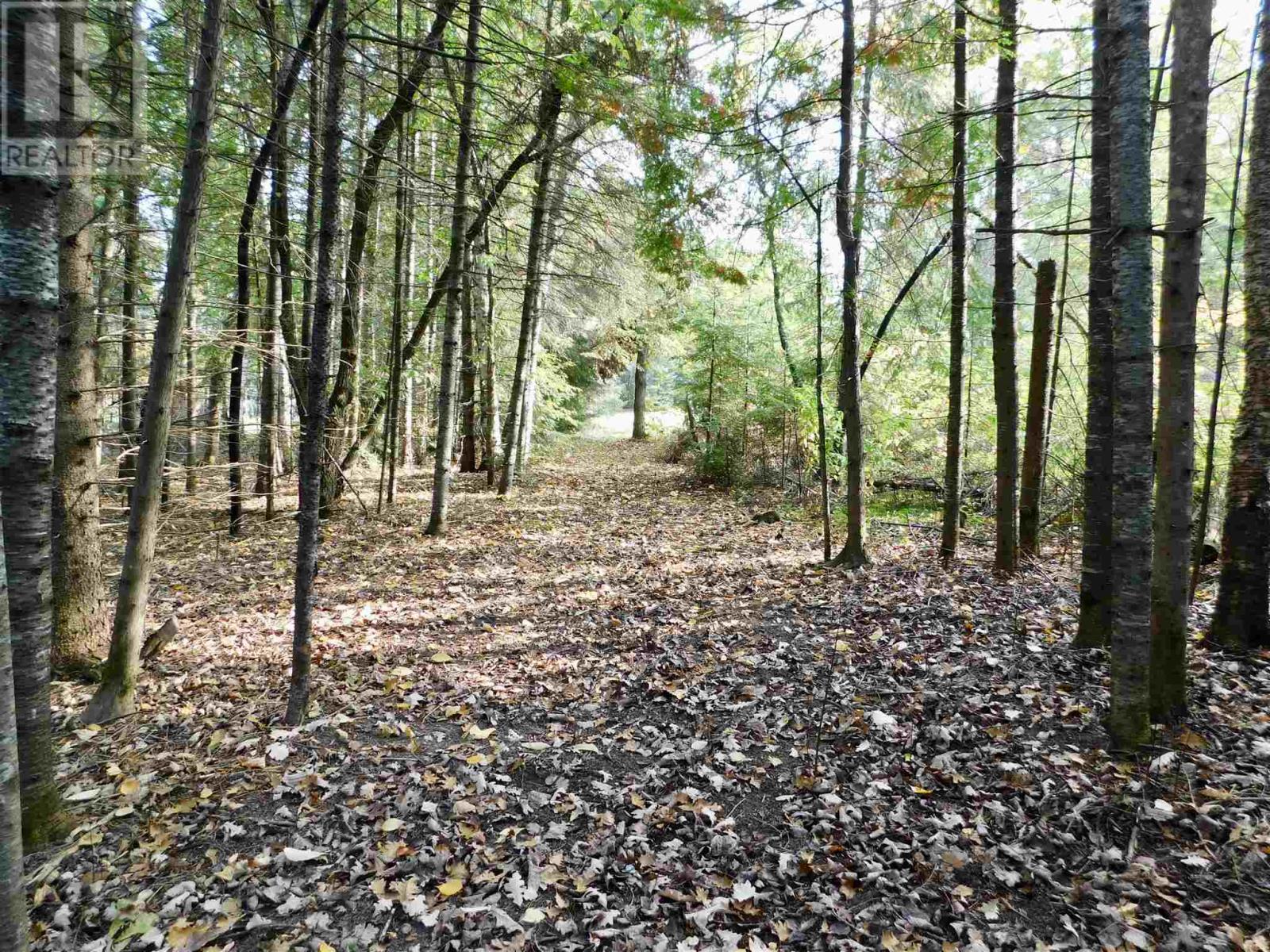 4 Sunset Island Property Photo 18