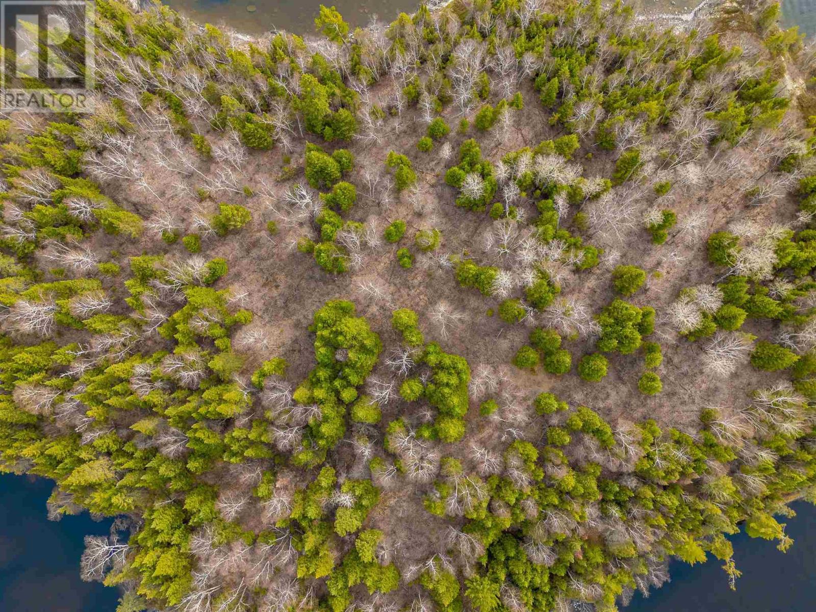 Island D49, Matheson Bay, Lake Of The Woods Property Photo 26