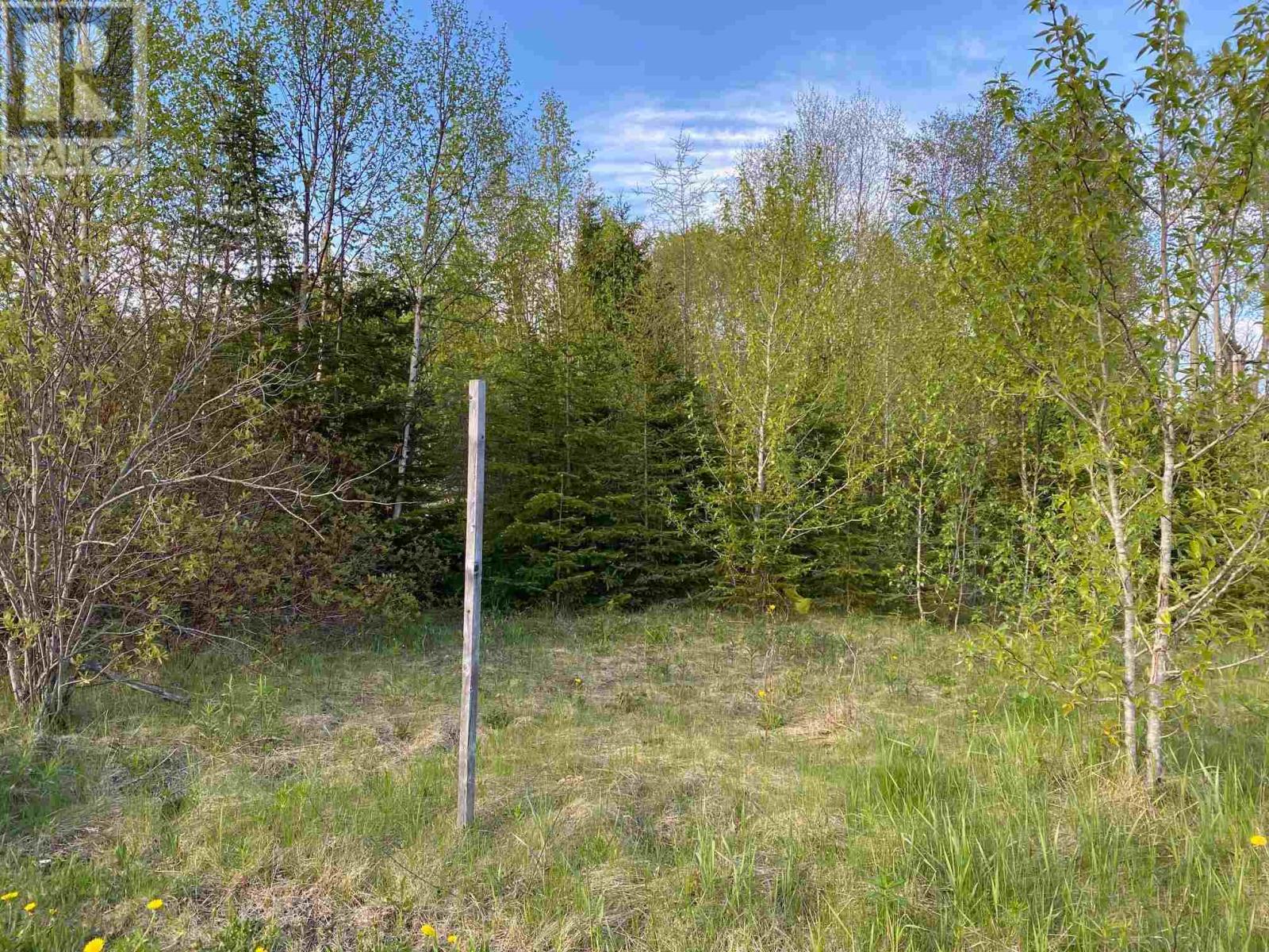 54 Parkway Pl Property Photo 1