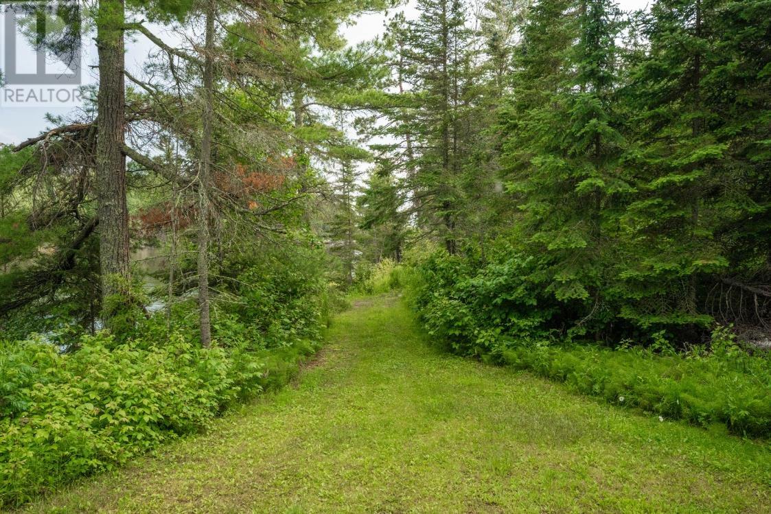 0 Queen Bee Island Property Photo 49