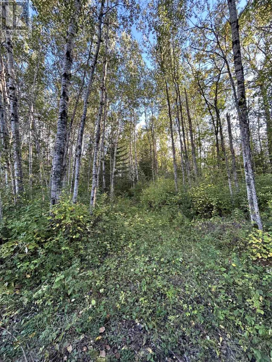 Pcl 14215 Alberton Township Property Photo 2