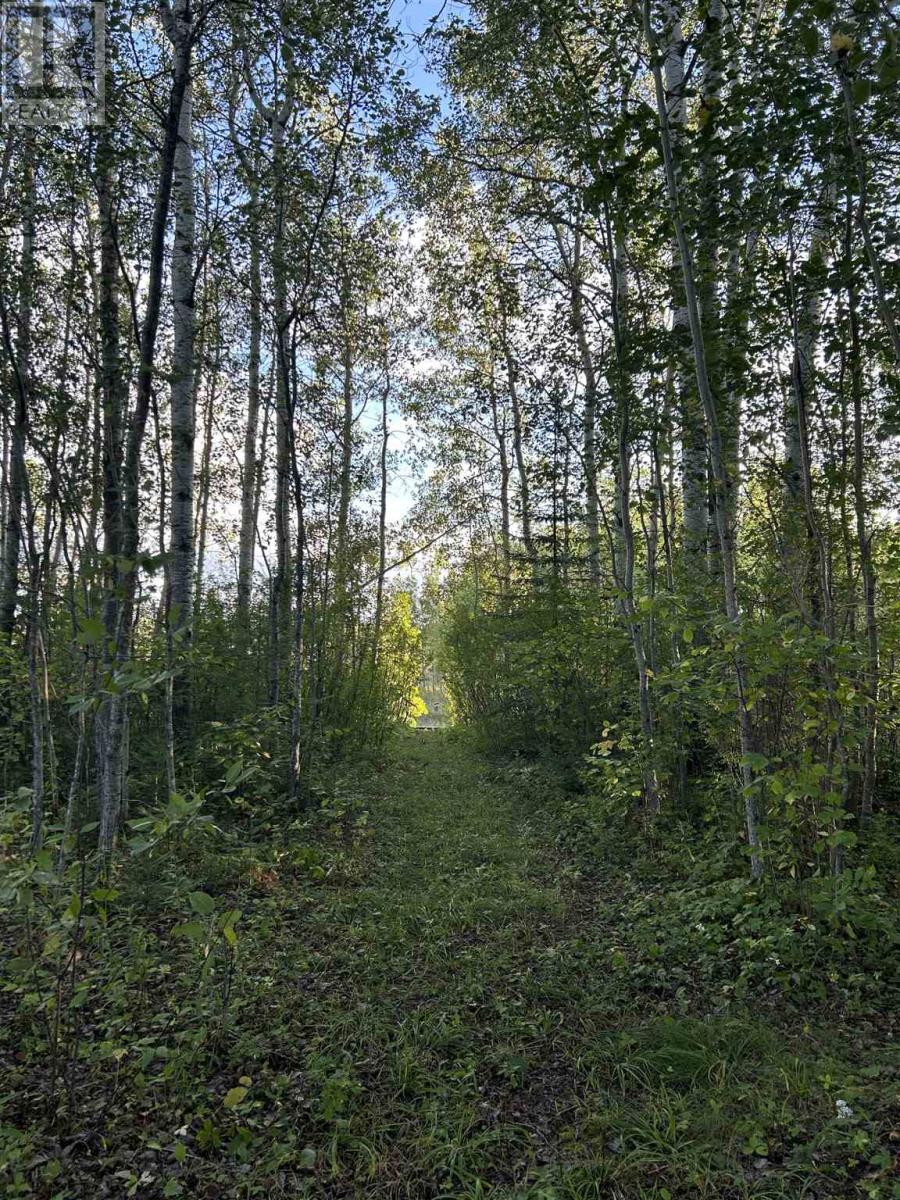 Pcl 14215 Alberton Township Property Photo 3