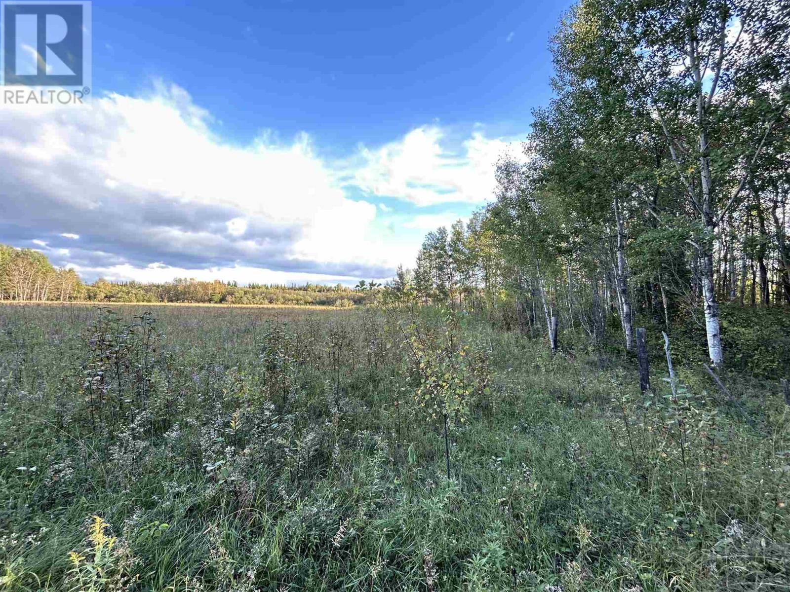 Pcl 14215 Alberton Township Property Photo 5