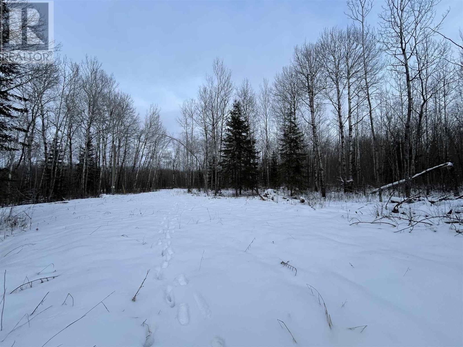 905 Frog Creek Rd Property Photo 2