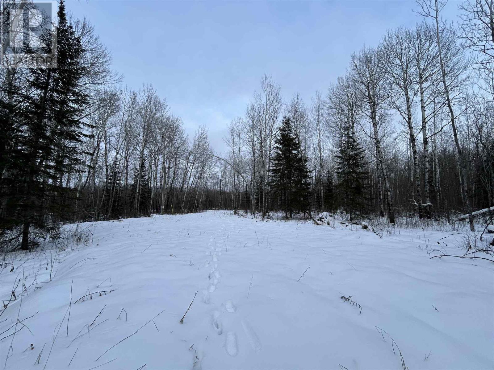 905 Frog Creek Rd Property Photo 3