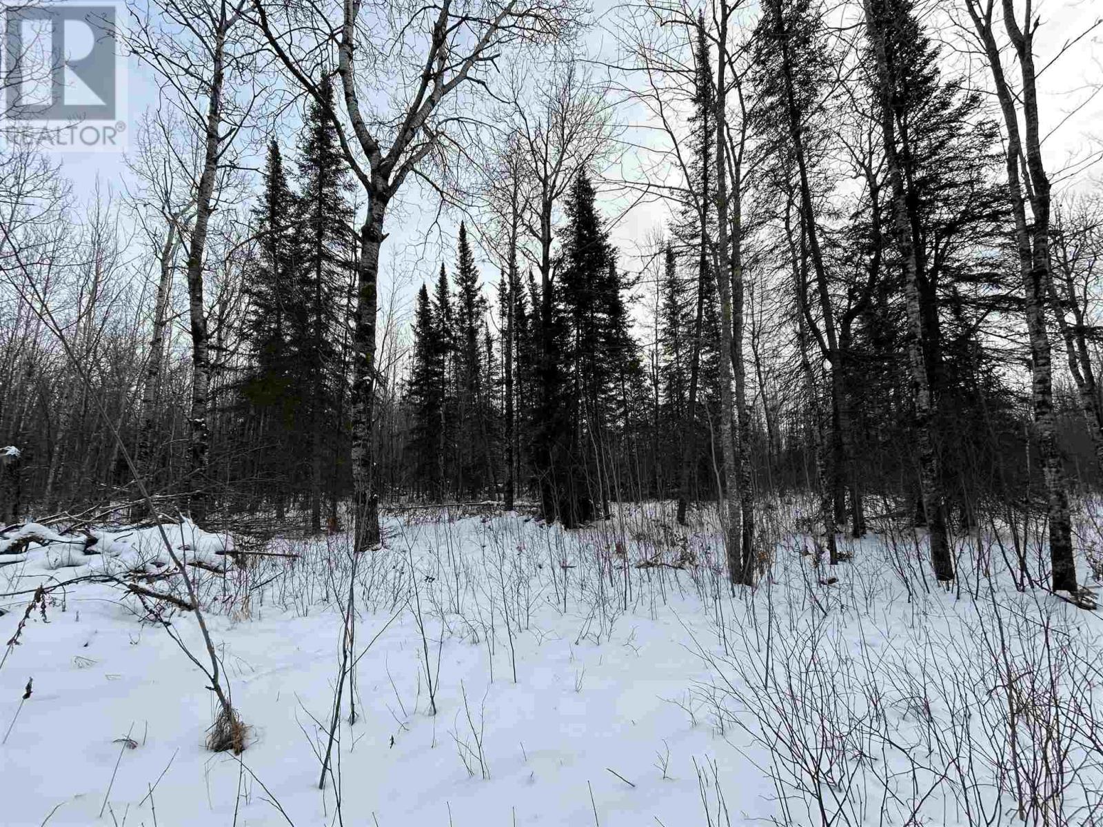 905 Frog Creek Rd Property Photo 5