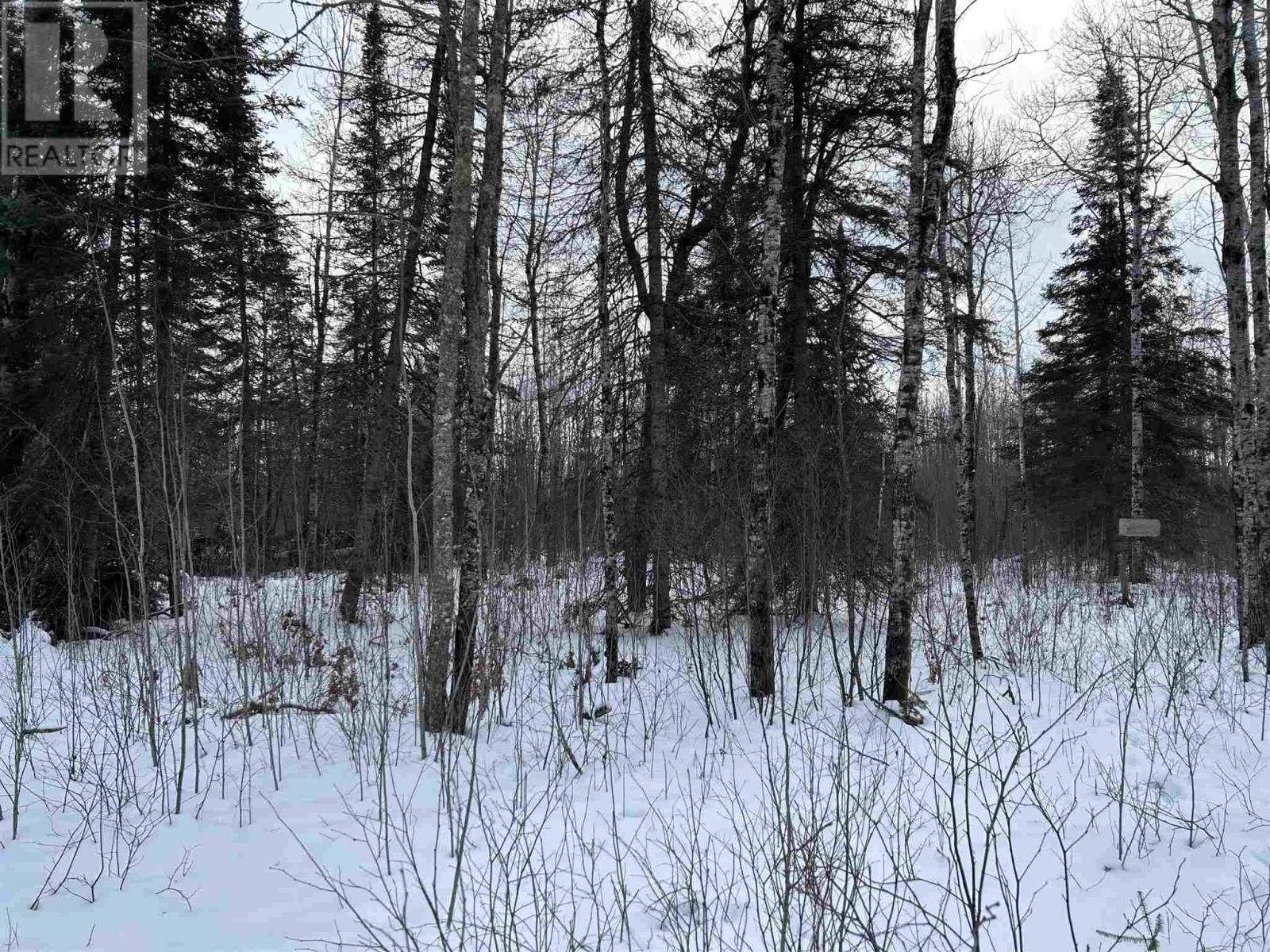 905 Frog Creek Rd Property Photo 6