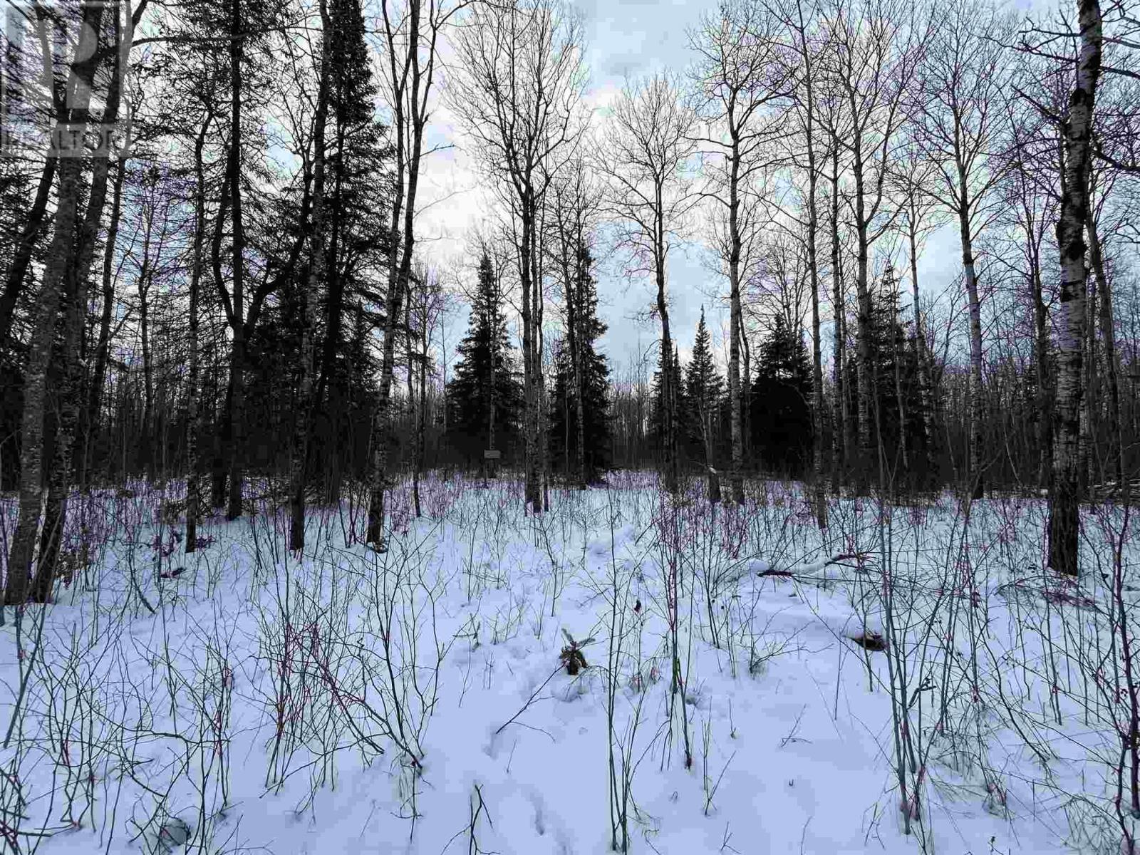 905 Frog Creek Rd Property Photo 7