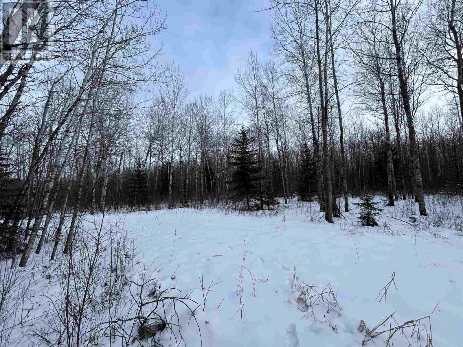 905 Frog Creek Rd Property Photo 8