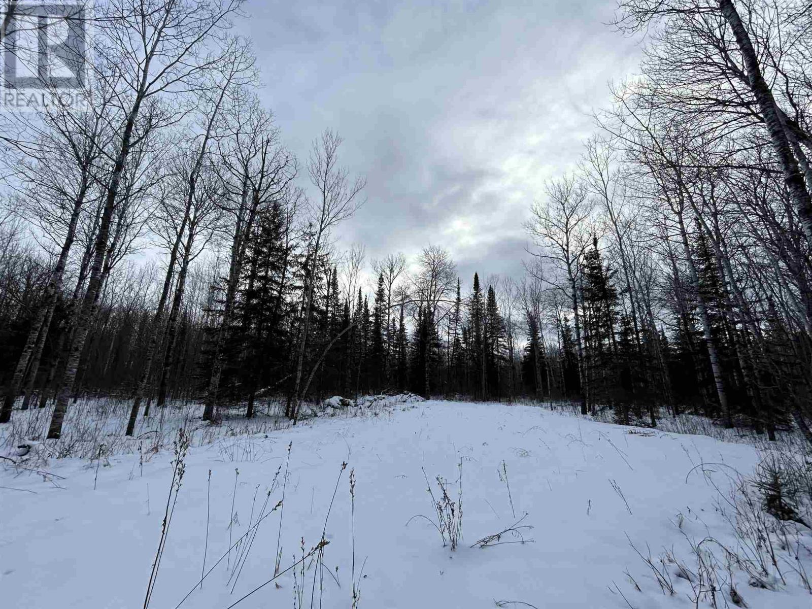 905 Frog Creek Rd Property Photo 9