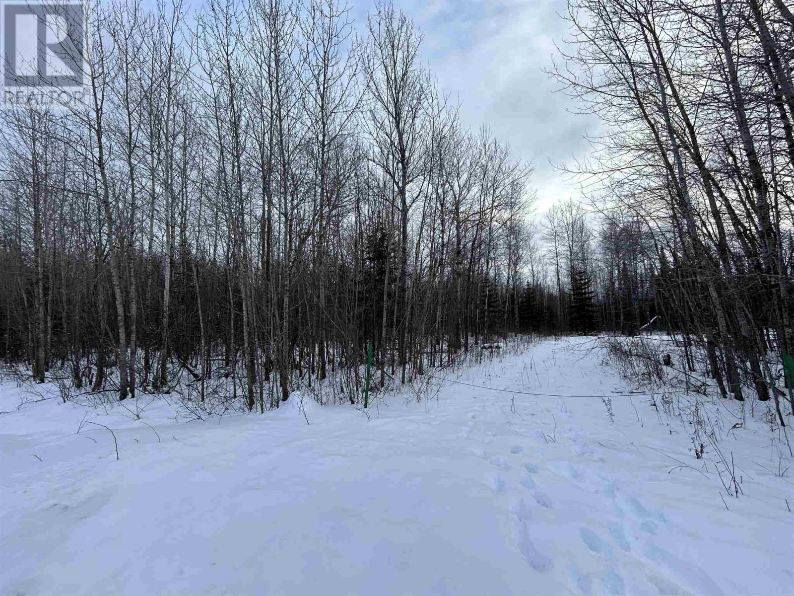905 Frog Creek Rd Property Photo 10