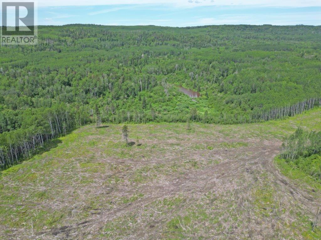 Part 1 Larson Road Property Photo 5