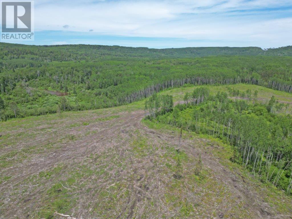 Part 1 Larson Road Property Photo 10