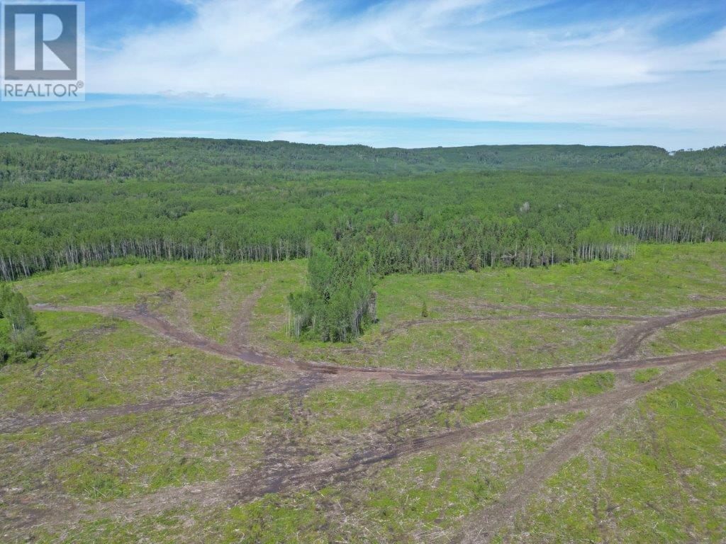Part 3 Larson Road Property Photo 3