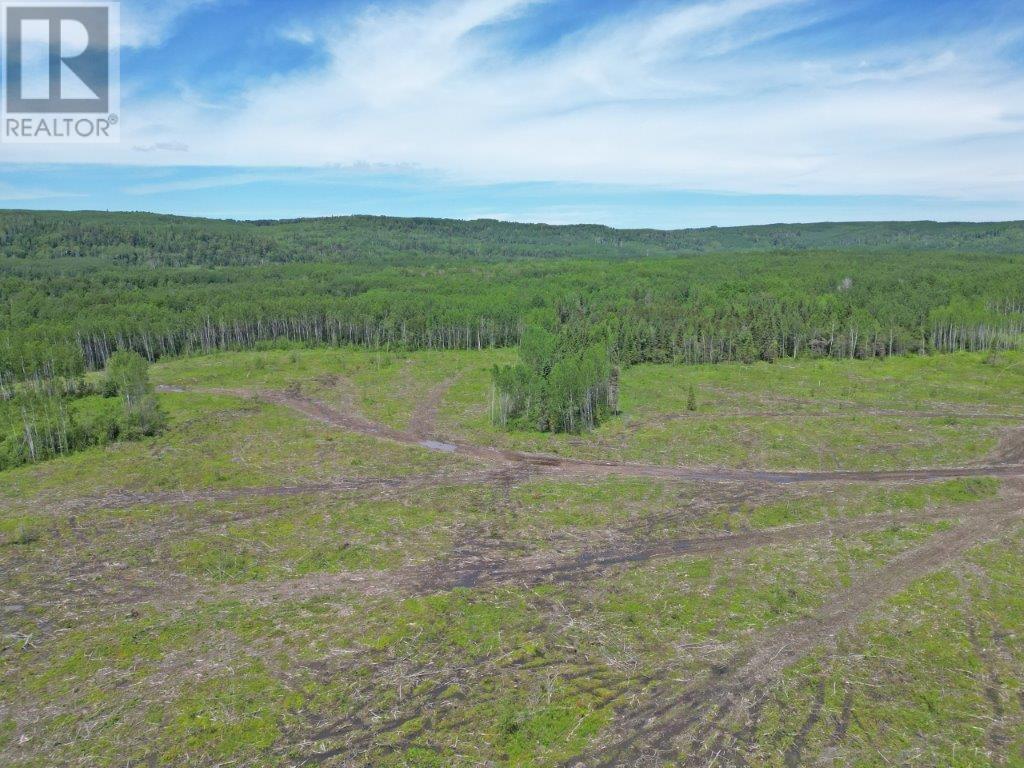 Part 3 Larson Road Property Photo 6