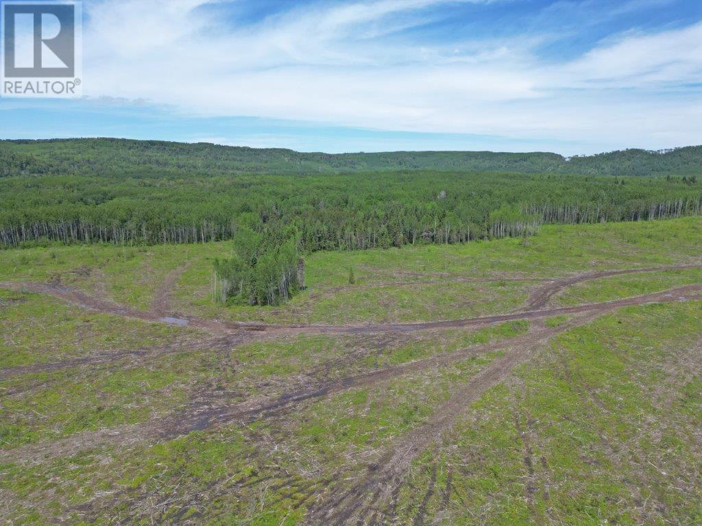 Part 3 Larson Road Property Photo 9