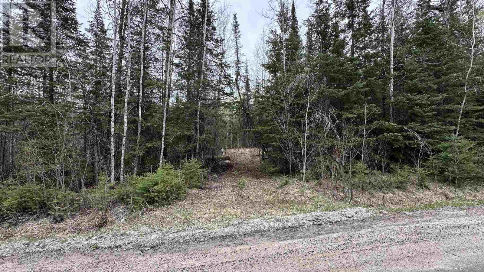 Part 3 823 Coker Road Property Photo 7