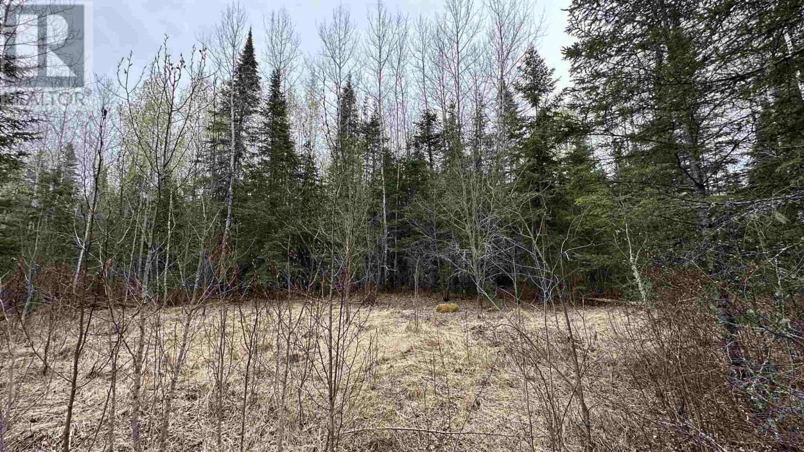 Part 3 823 Coker Road Property Photo 8