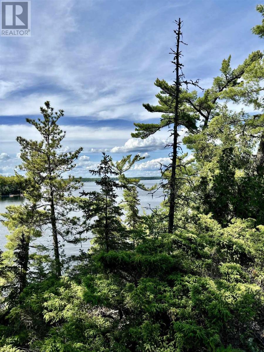 5 Hay Island, Lake Of The Woods Property Photo 36