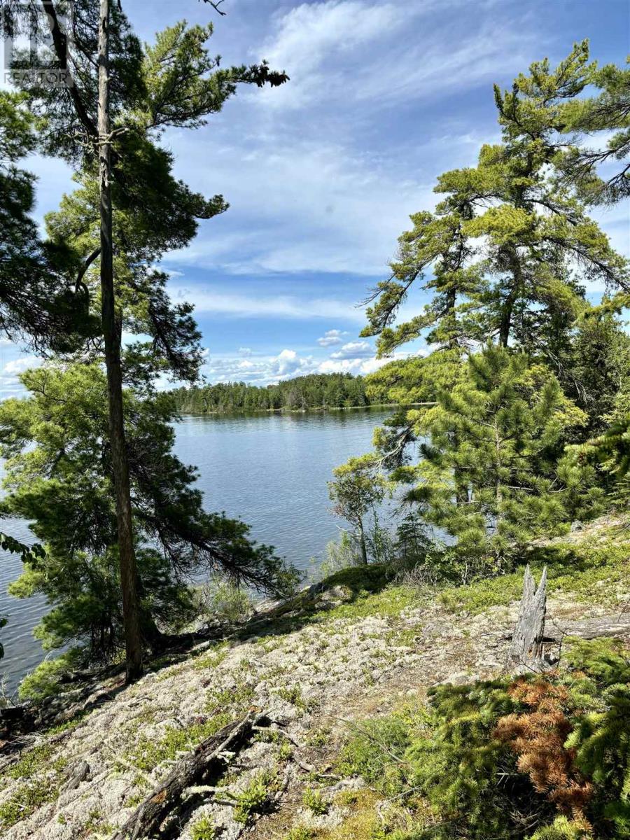 5 Hay Island, Lake Of The Woods Property Photo 44