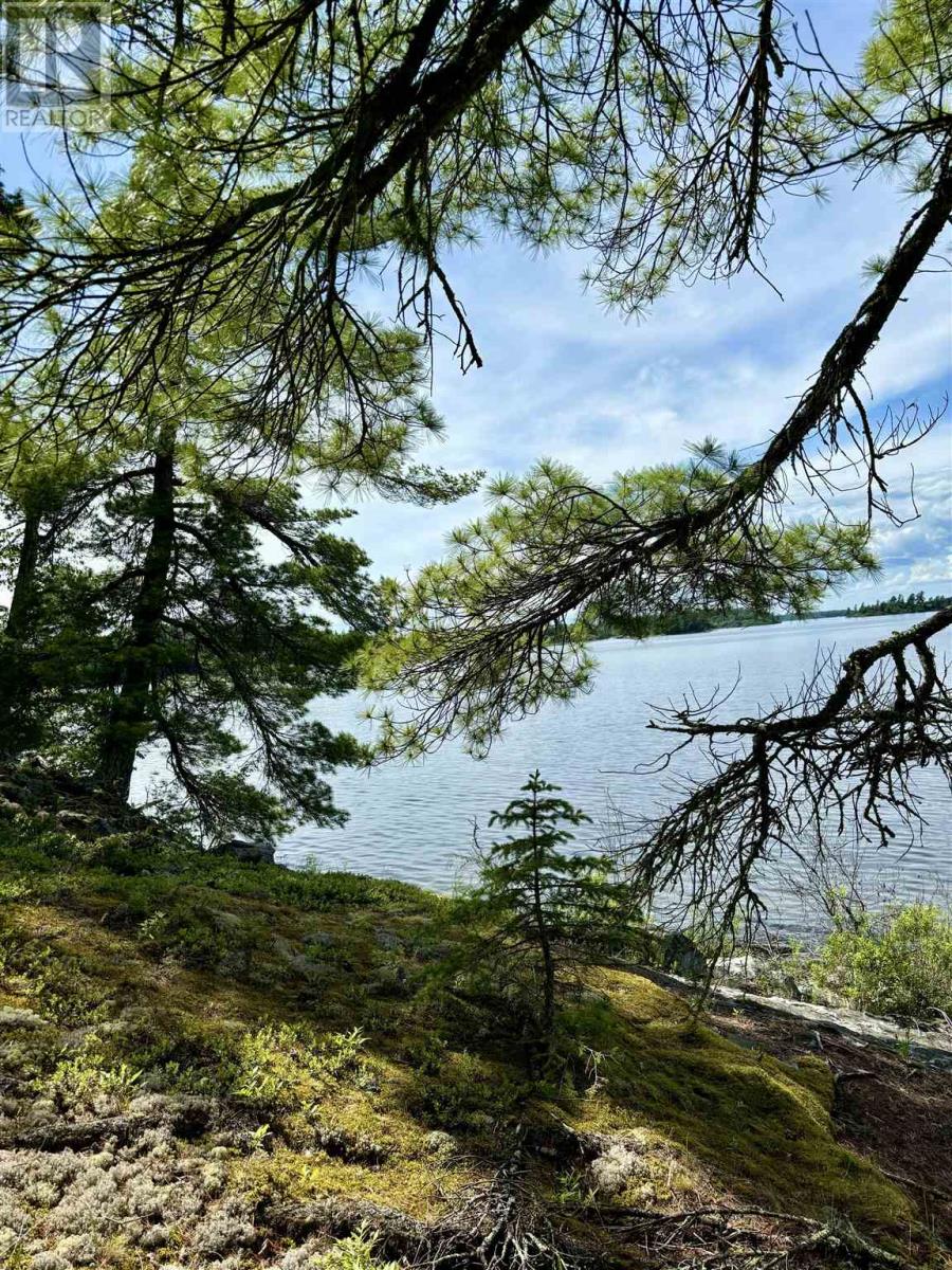 5 Hay Island, Lake Of The Woods Property Photo 45
