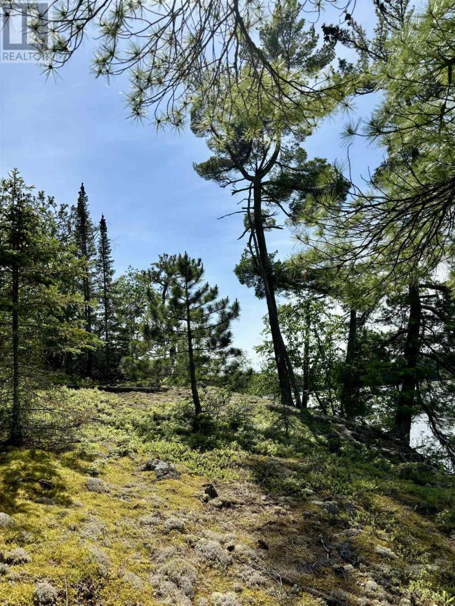 5 Hay Island, Lake Of The Woods Property Photo 46