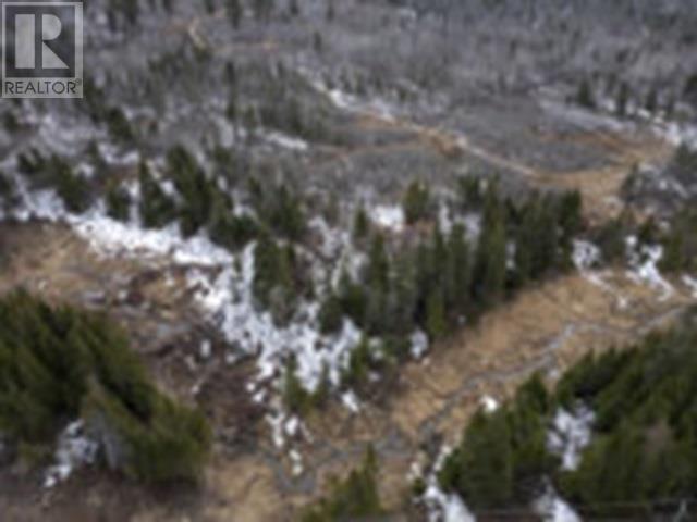 0 Hwy 61 Property Photo 10