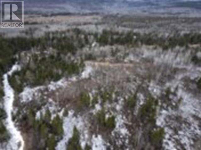 0 Hwy 61 Property Photo 19