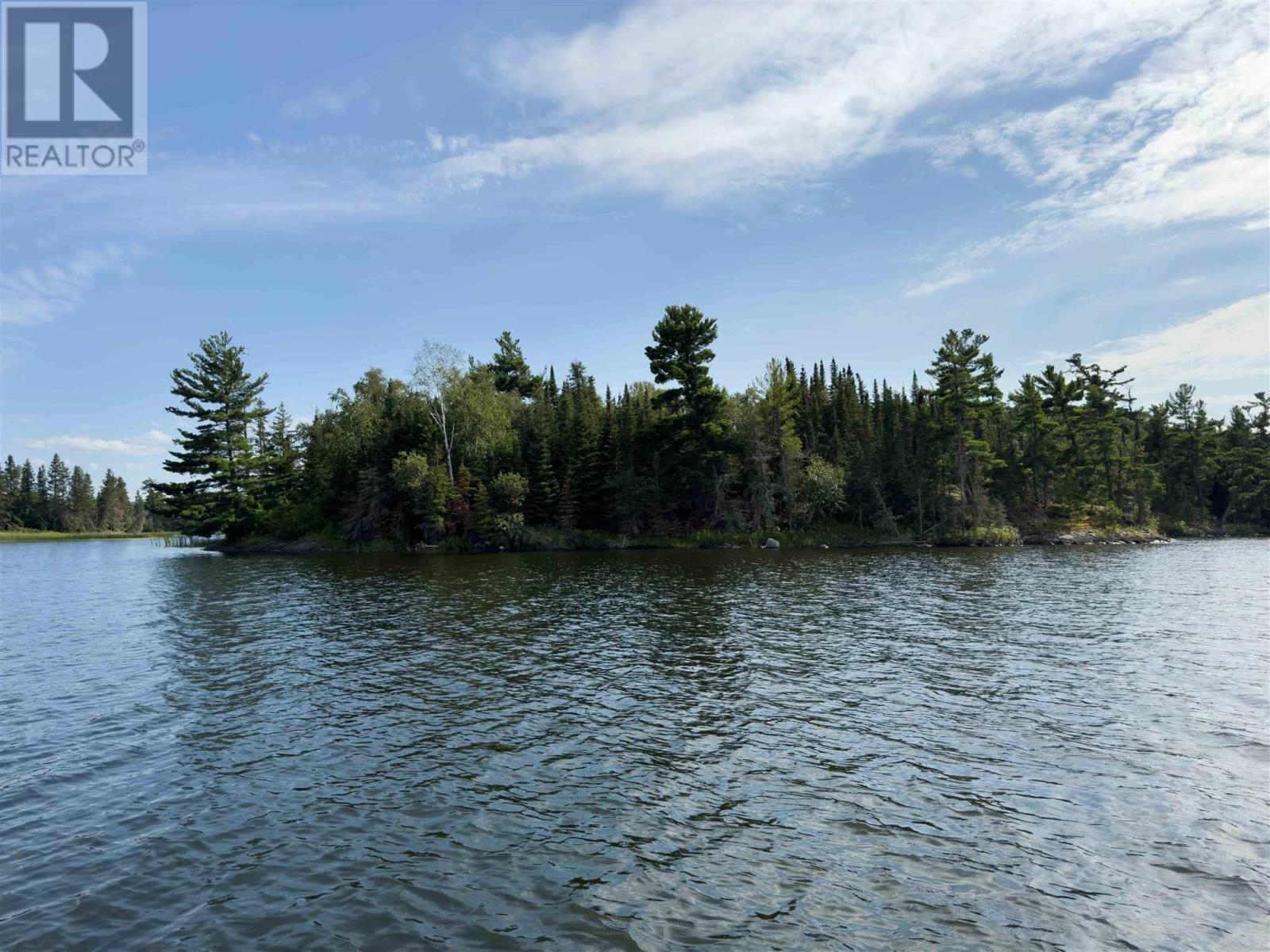 4 And 11 Dorion Island Lake Of The Woods Property Photo 7