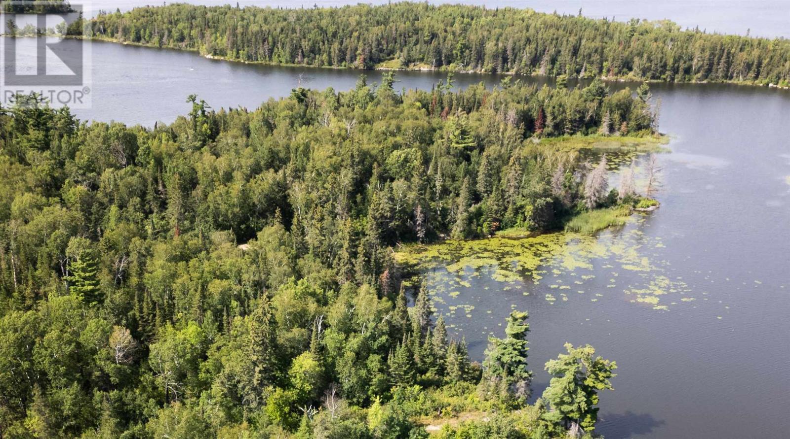 4 And 11 Dorion Island Lake Of The Woods Property Photo 8