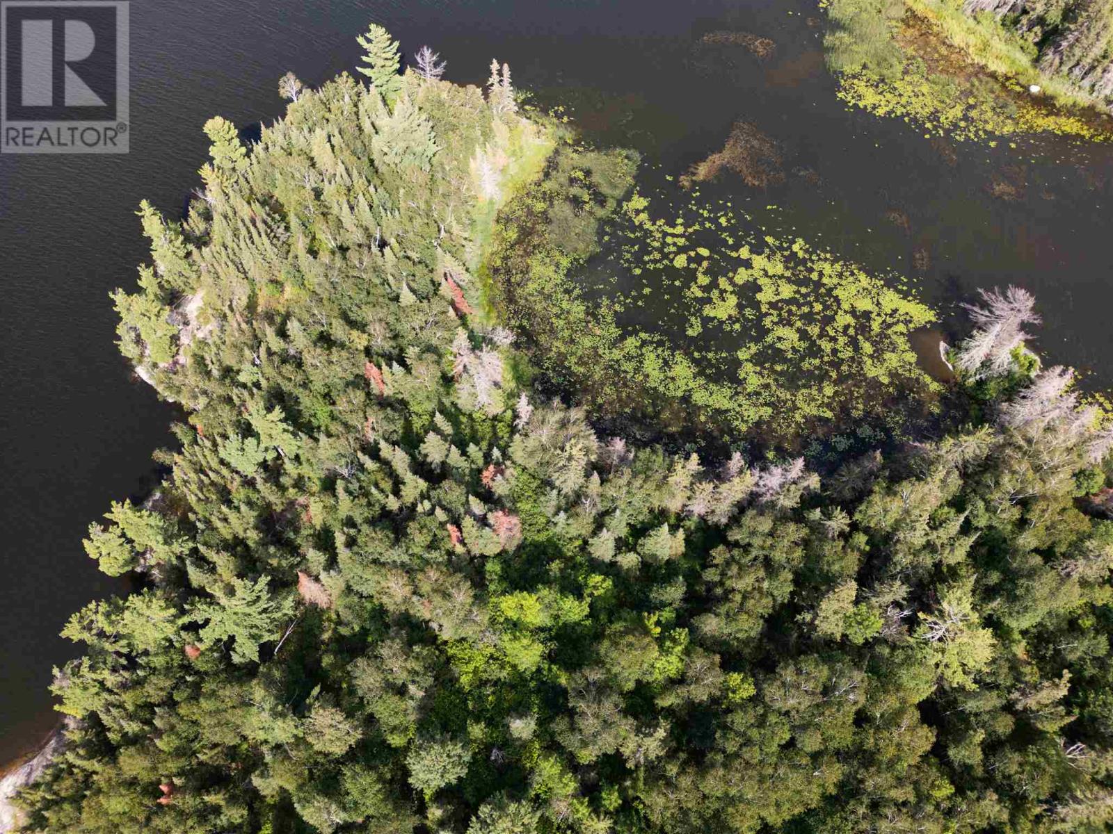 4 And 11 Dorion Island Lake Of The Woods Property Photo 16