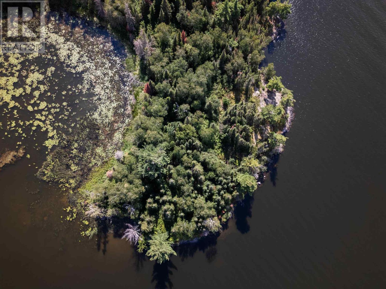 4 And 11 Dorion Island Lake Of The Woods Property Photo 19