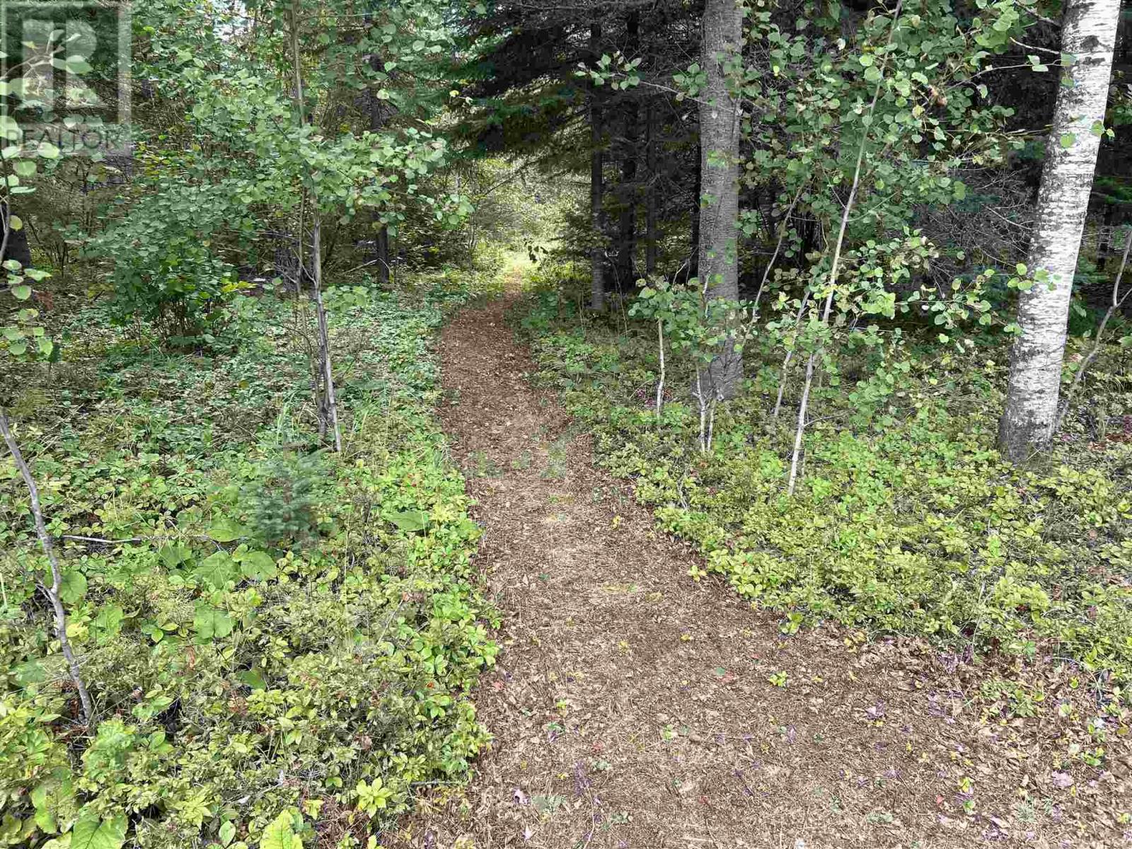 1 Bear Camp Property Photo 19