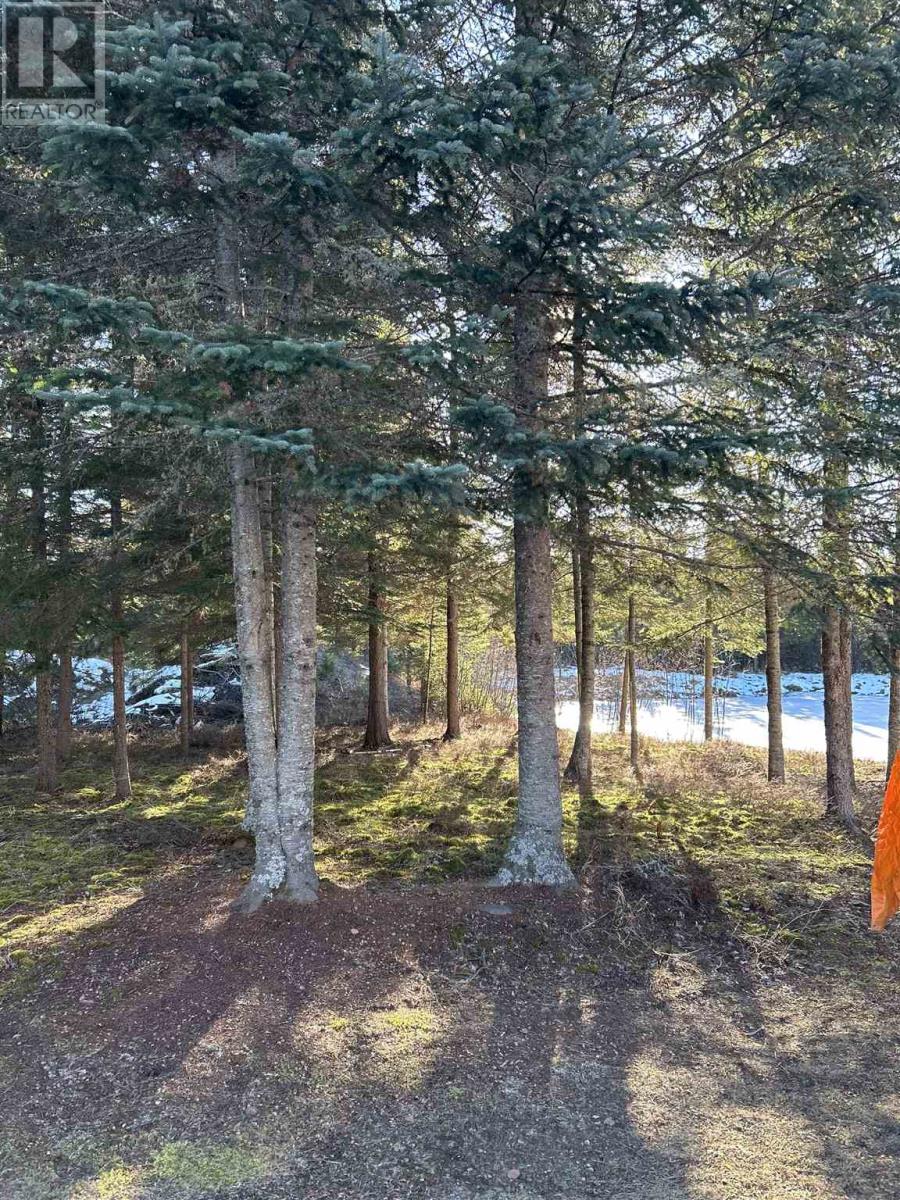 1 Bear Camp Property Photo 21