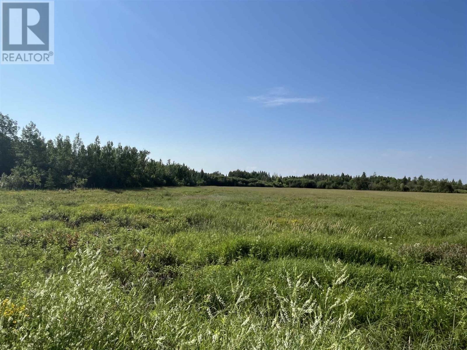 619 Cameron Road Property Photo 36