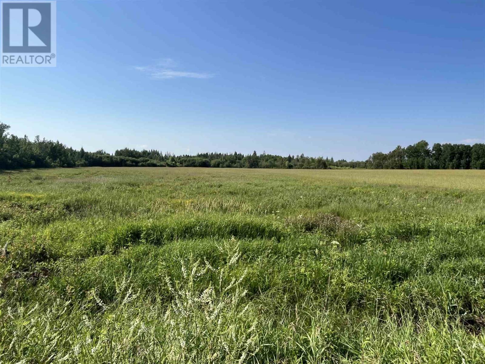 619 Cameron Road Property Photo 39