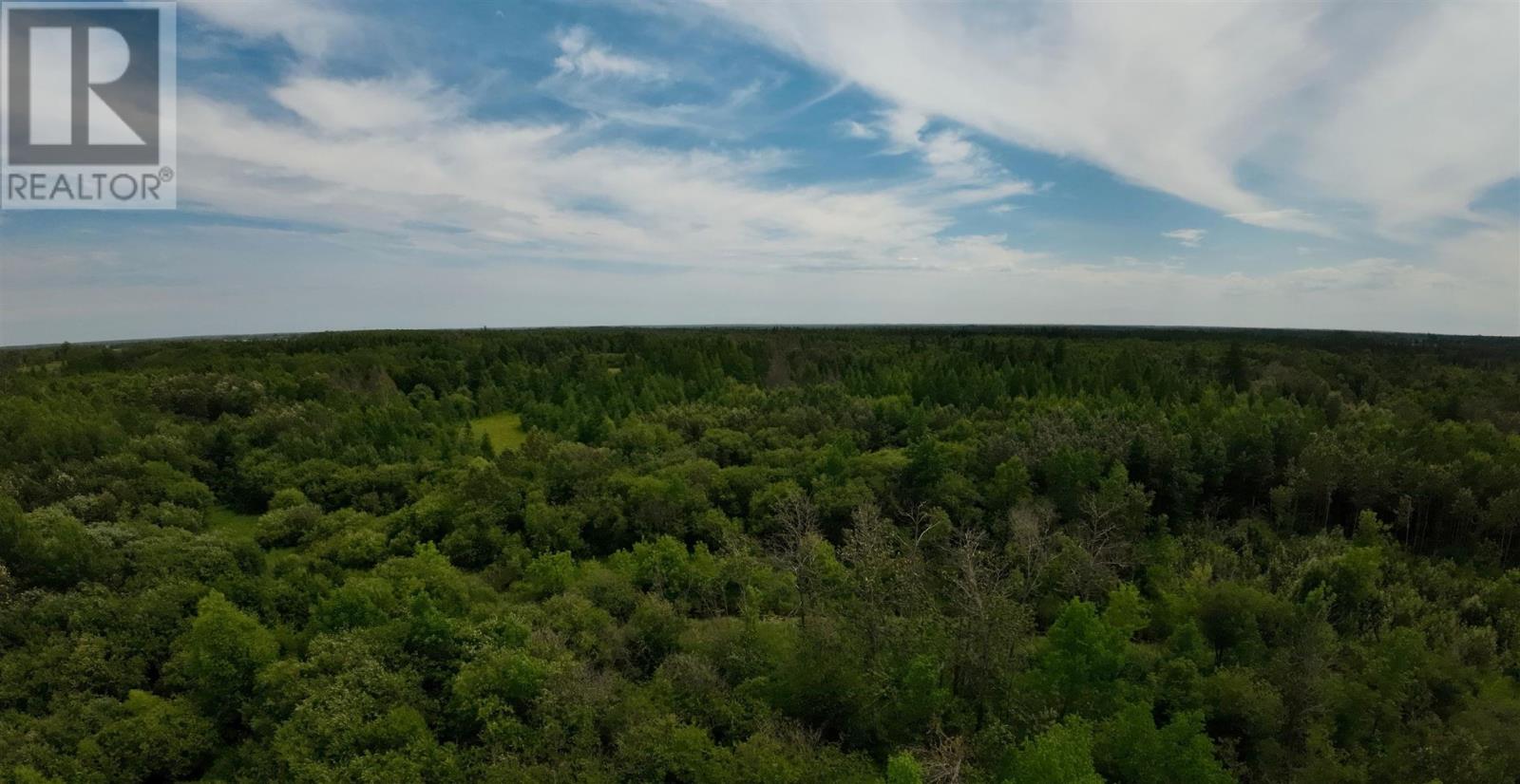 619 Cameron Road Property Photo 45