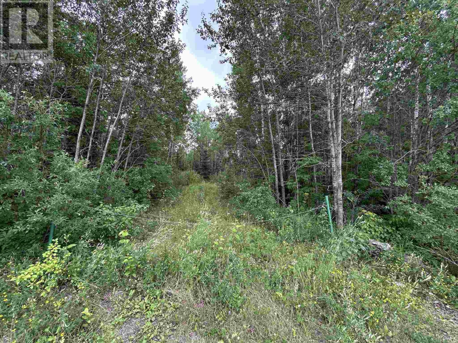 905 Frog Creek Rd Property Photo 1