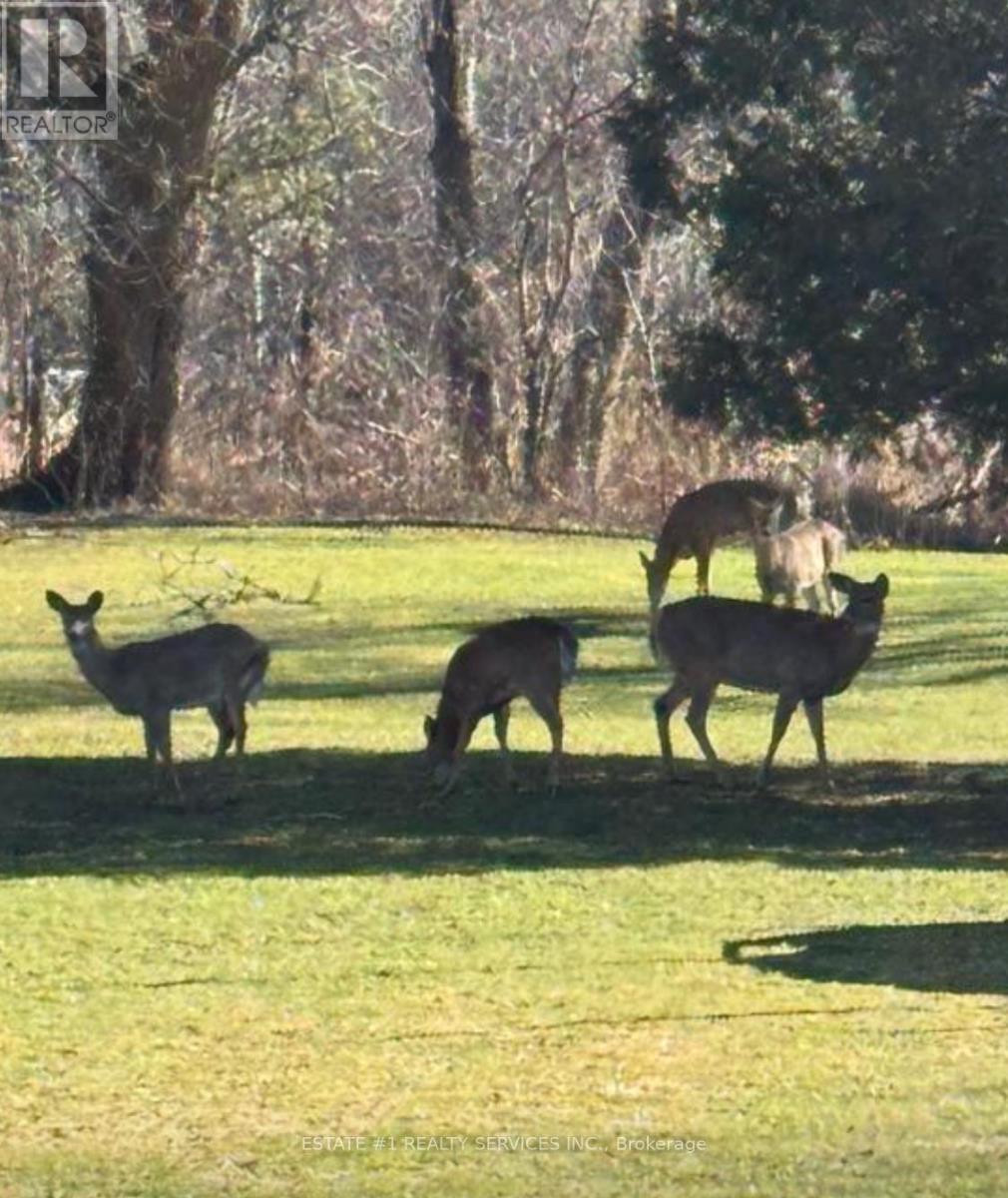 10231 Old Pinecrest Road Property Photo 4