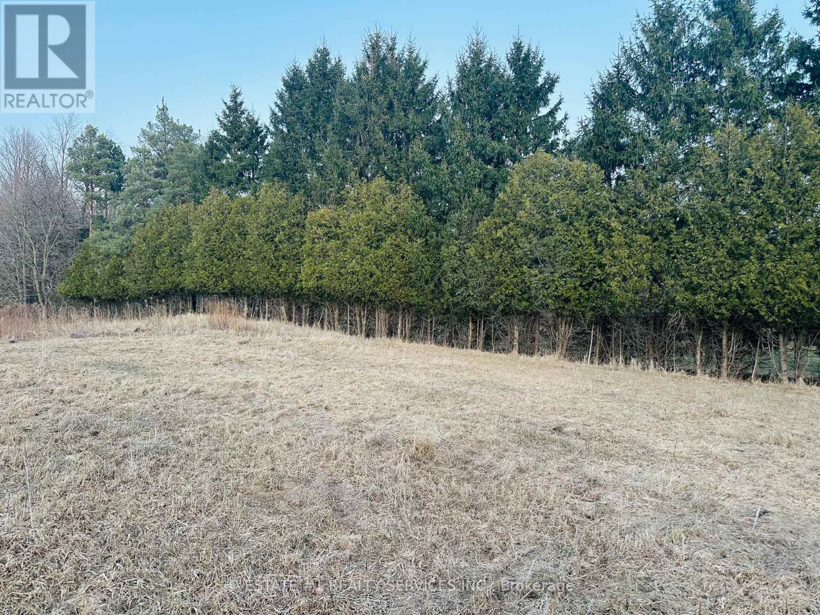 10231 Old Pinecrest Road Property Photo 5